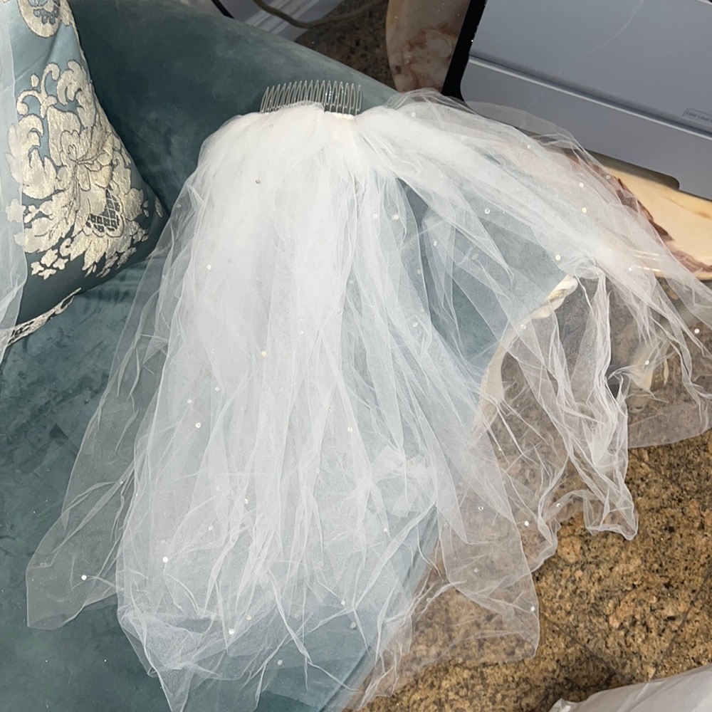 Bridal veils (3) and bride to be sign